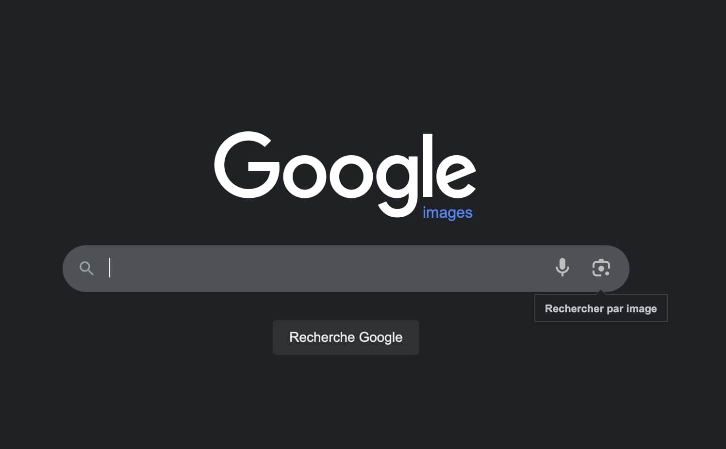 Capture d’écran RECHERCHE IMAGE GOOGLE