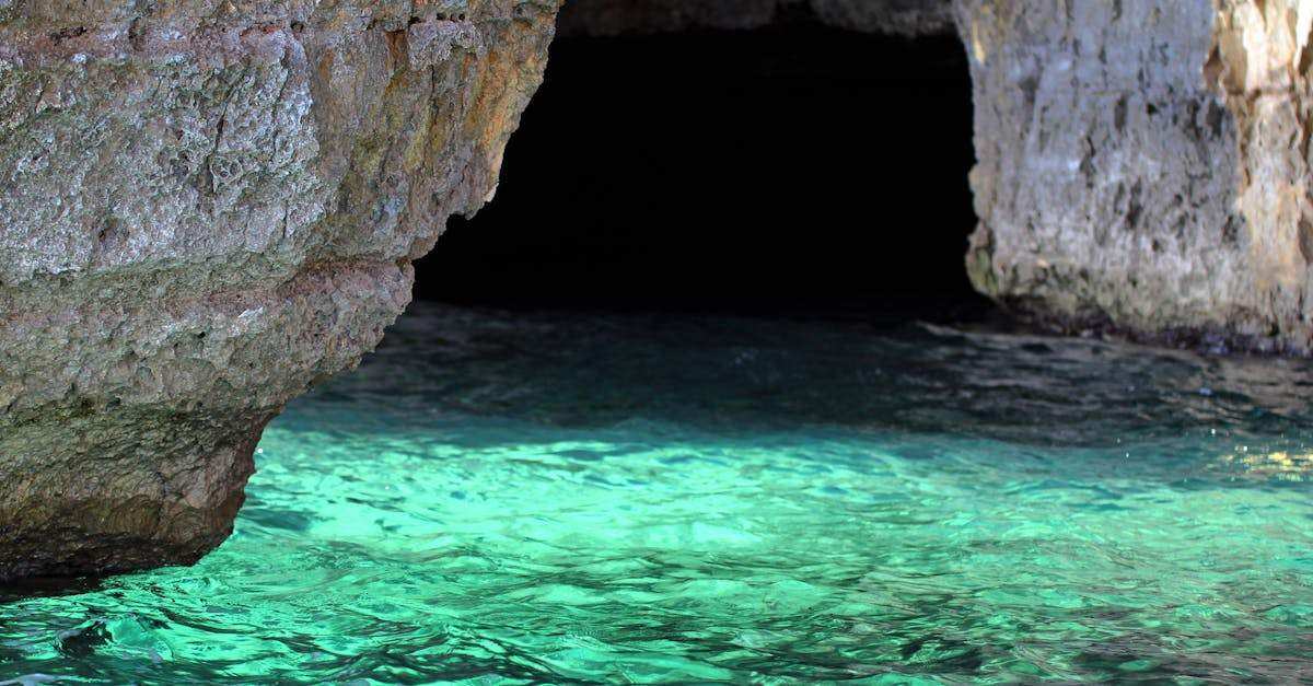 découvrez tout ce qu'il faut savoir sur le cve (common vulnerabilities and exposures) : un système de référence pour identifier et classer les vulnérabilités de sécurité dans les logiciels et les systèmes. informez-vous sur les dernières vulnérabilités, les meilleures pratiques pour assurer la sécurité de vos systèmes et comment tirer parti des informations fournies par le cve.