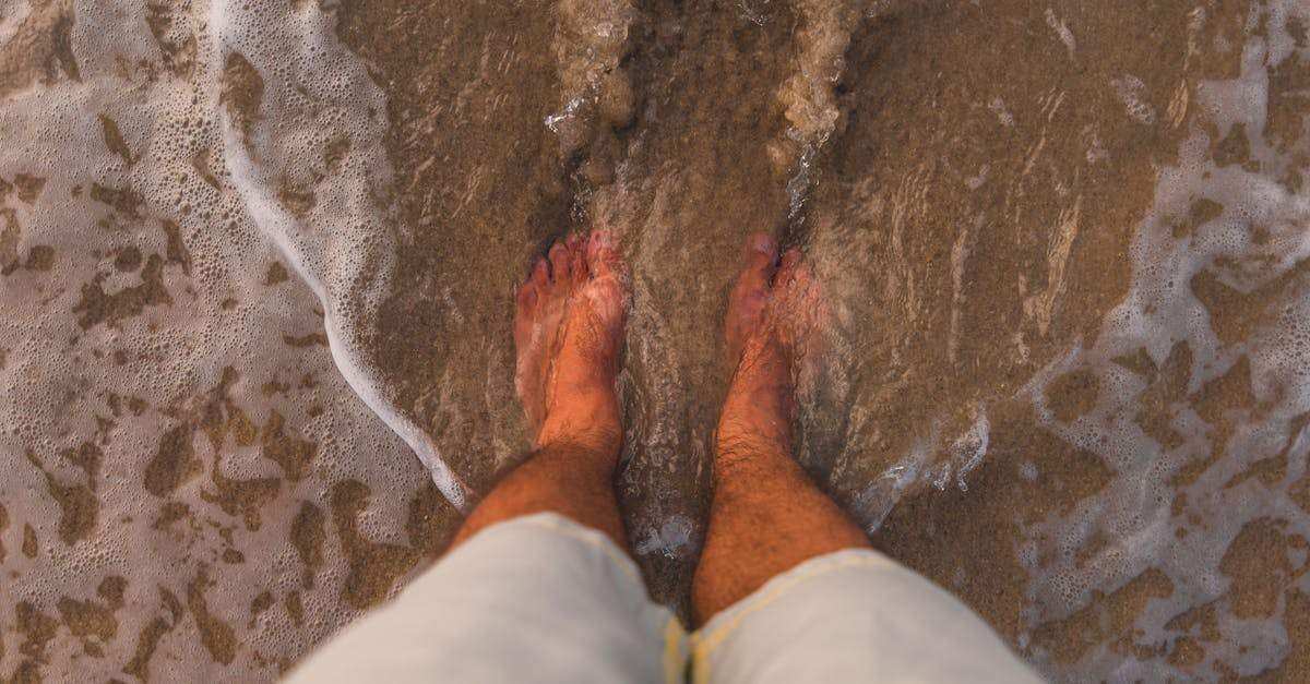 découvrez tout sur les attaques ddos : leur fonctionnement, les stratégies de protection et les meilleures pratiques pour sécuriser vos infrastructures contre ces menaces cybernétiques.