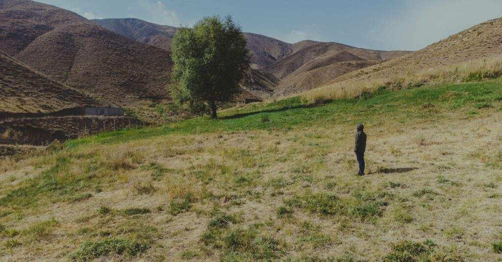 découvrez le protocole ftp (file transfer protocol) pour un transfert de fichiers rapide et sécurisé entre ordinateurs. apprenez à l'utiliser efficacement pour gérer vos échanges de données en ligne.