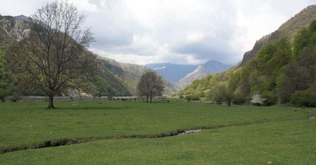 découvrez ce que sont les proxys ouverts, comment ils fonctionnent et leurs implications pour la sécurité en ligne. apprenez à les utiliser de manière responsable et à éviter les risques associés à leur utilisation.