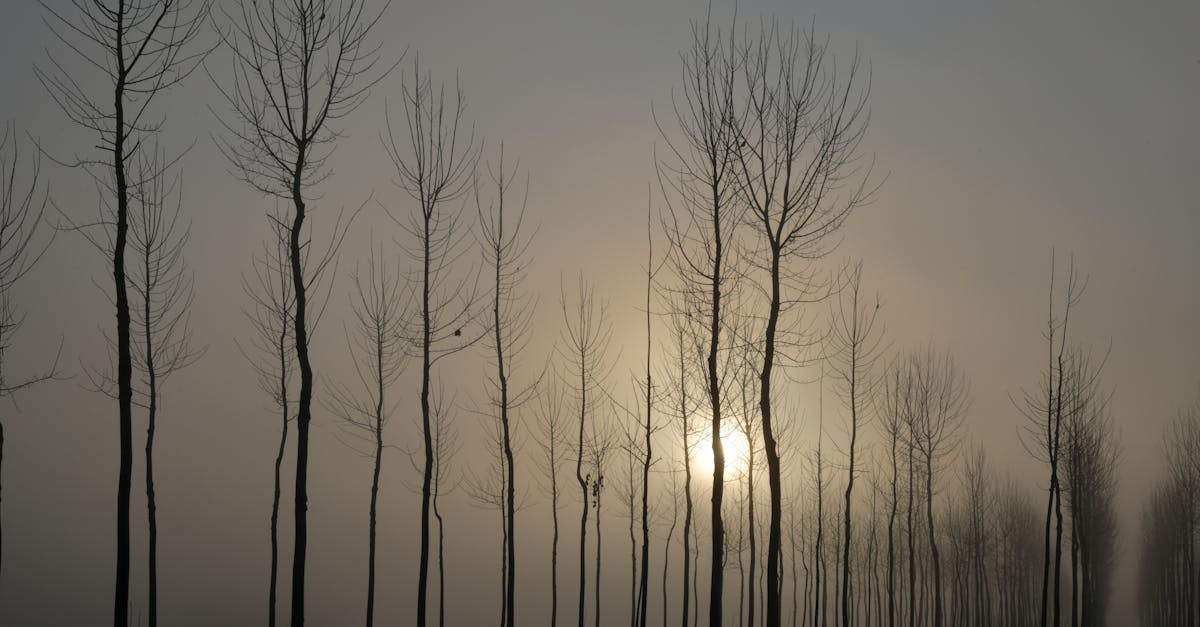 découvrez le monde des systèmes scada (supervisory control and data acquisition), une technologie essentielle pour la surveillance et le contrôle des infrastructures industrielles. apprenez comment optimiser la gestion de vos processus avec des solutions scada adaptées à vos besoins.