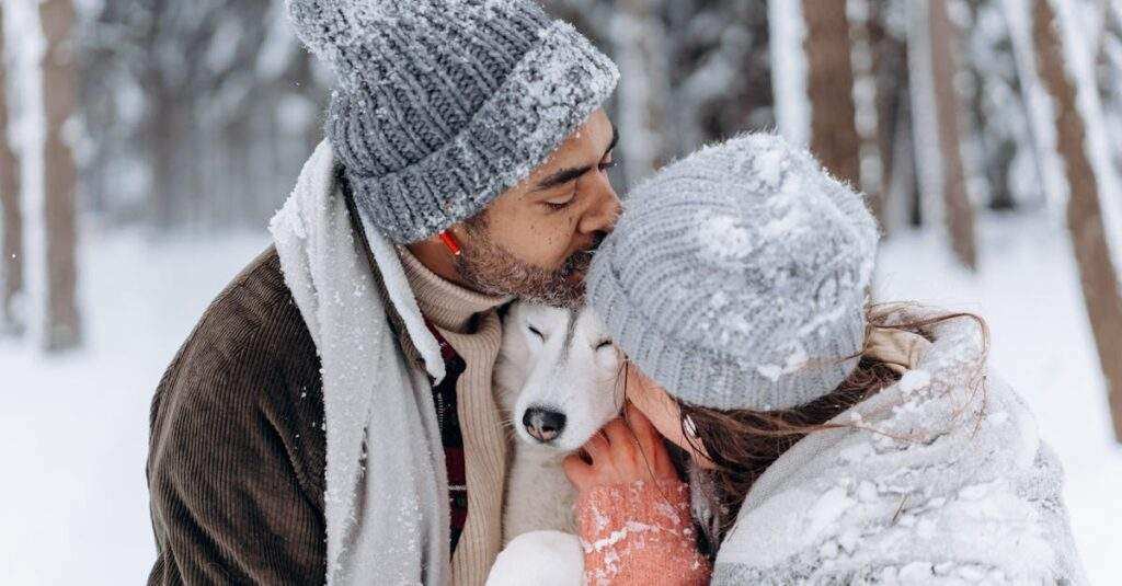 découvrez le fonctionnement des botnets, ces réseaux de machines infectées par des logiciels malveillants. apprenez comment ils s'organisent, les risques qu'ils représentent et les méthodes de protection contre ces menaces numériques.