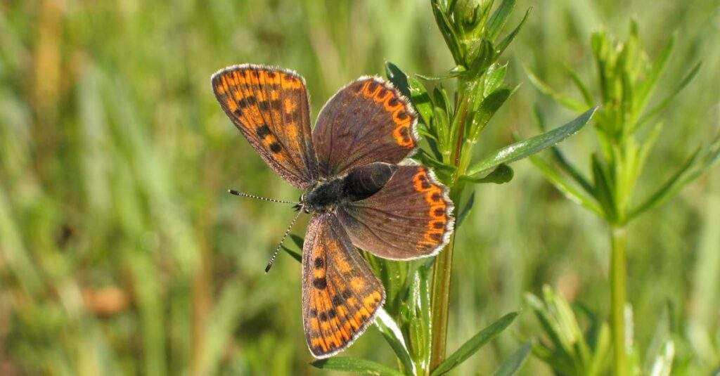 découvrez tous les conseils et astuces pour réussir votre colocation : trouver des colocataires, gérer la vie commune et partager un logement sereinement.