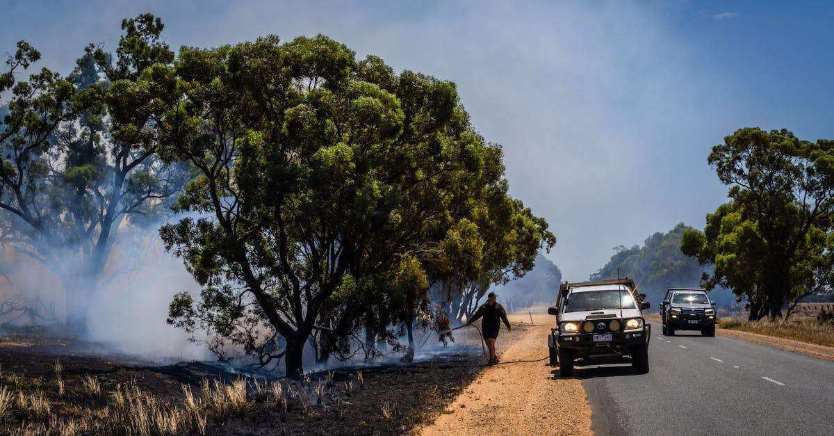 protégez votre site contre les attaques ddos grâce à des solutions de sécurité performantes. découvrez comment prévenir les interruptions de service et assurer la continuité de votre activité en ligne.