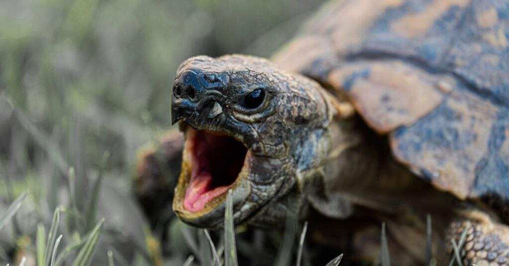 découvrez le concept de la défense en profondeur : une stratégie de cybersécurité qui combine plusieurs couches de protection pour sécuriser efficacement vos systèmes informatiques contre les menaces et les attaques.