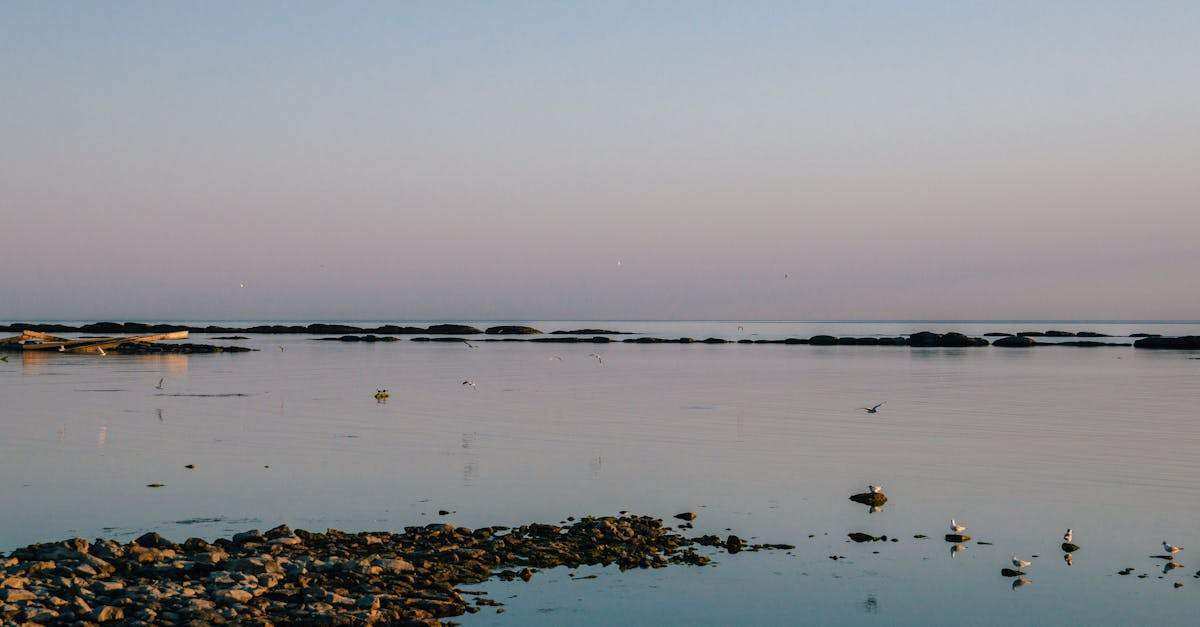 découvrez tout ce qu'il faut savoir sur le rasp (runtime application self-protection) : définition, avantages, fonctionnement et comment il sécurise vos applications en temps réel.