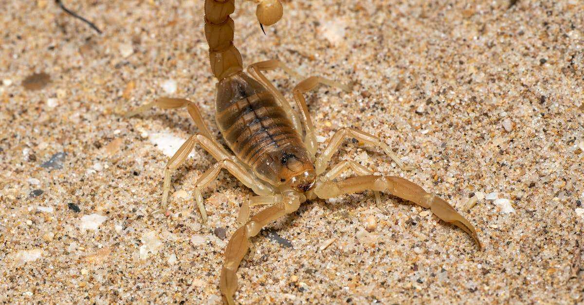 découvrez comment la gestion unifiée des menaces (utm) protège votre entreprise contre les cyberattaques en intégrant des solutions de sécurité complètes telles que le pare-feu, l'antivirus et la détection d'intrusion en une seule plateforme efficace.