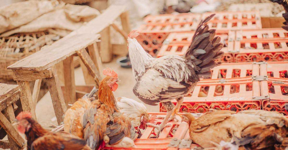 découvrez les principes du caching, une technique essentielle pour améliorer la performance des sites web et des applications en stockant temporairement des données fréquemment utilisées afin de réduire les temps de chargement et l'utilisation des ressources serveur.