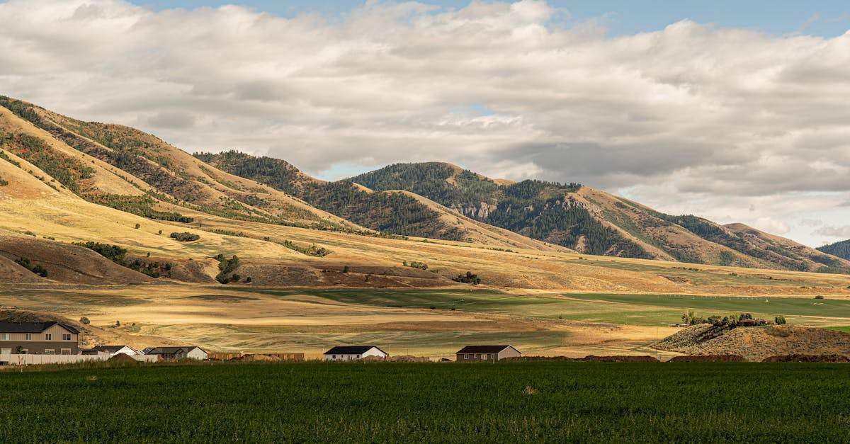 découvrez ce qu'est le caching, son fonctionnement et ses avantages pour accélérer la performance de vos sites web et applications. optimisez l'expérience utilisateur grâce à des techniques efficaces de mise en cache.