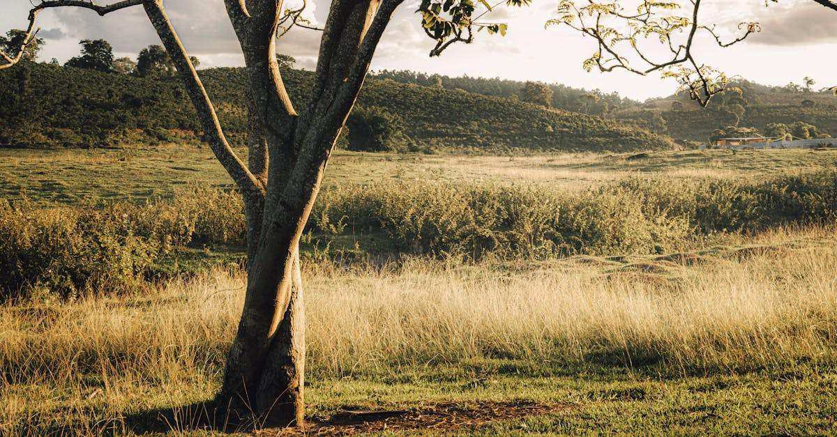 bénéficiez de l’expertise de nos consultants cloud pour optimiser, sécuriser et accélérer la transformation digitale de votre entreprise grâce à des solutions innovantes et sur-mesure.