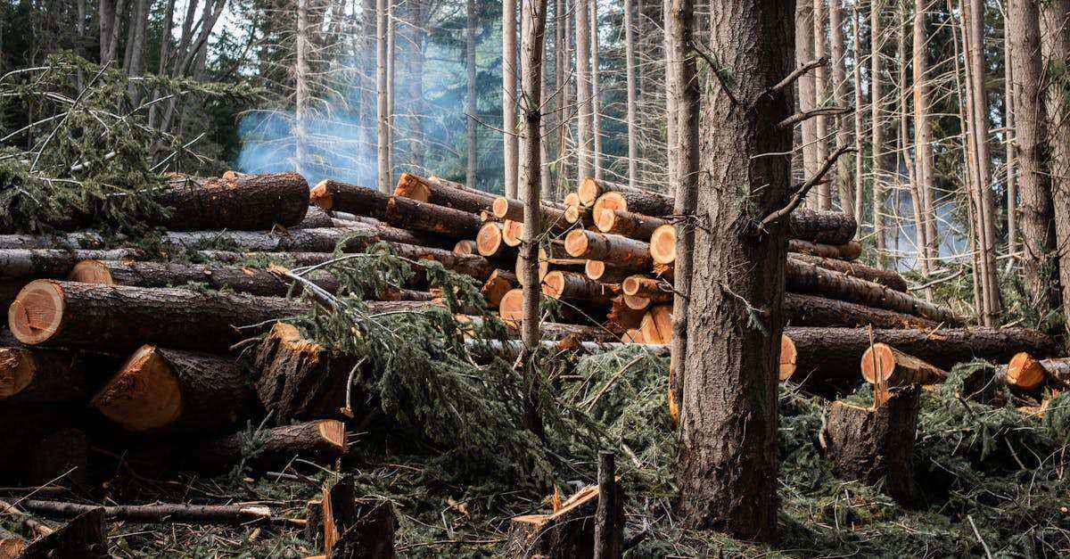 découvrez la signification, les exemples et l'importance d'un exploit. cet article explique comment accomplir des exploits remarquables et vous inspire à repousser vos limites.