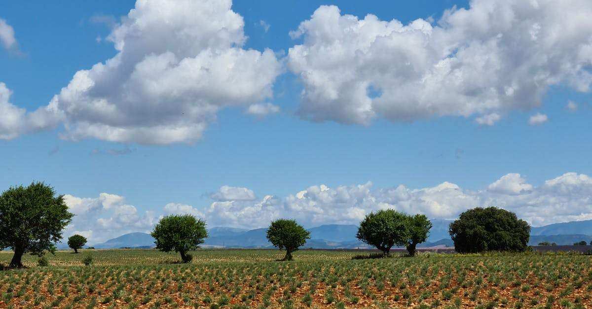 découvrez tout ce qu'il faut savoir sur le fisma (federal information security management act) : objectifs, exigences de conformité et impact sur la sécurité des systèmes d'information. guide complet pour comprendre et appliquer la réglementation américaine en matière de cybersécurité.