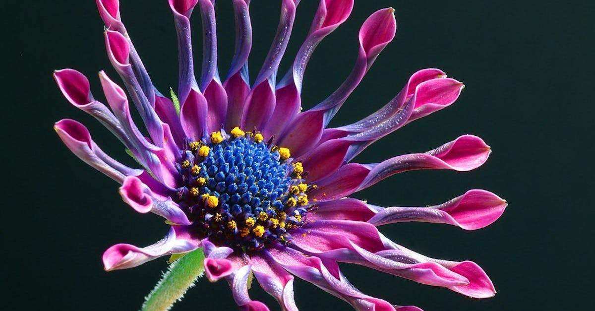 découvrez ce qu'est un hybrid firewall : une solution de sécurité réseau qui combine les avantages des pare-feux traditionnels et de nouvelle génération, offrant une protection renforcée contre les menaces et un contrôle avancé du trafic, idéale pour les entreprises soucieuses de leur cybersécurité.