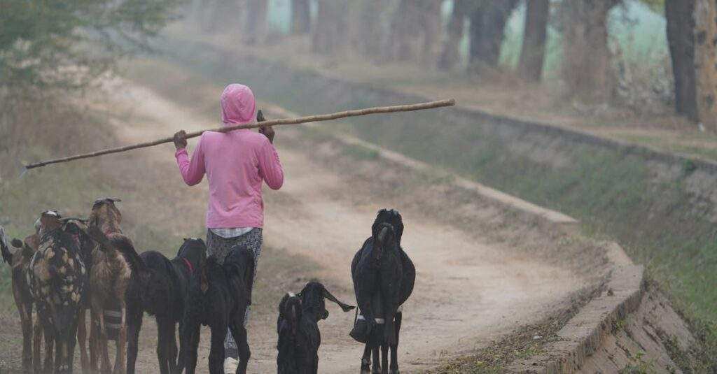 découvrez comment vivre en harmonie avec la nature grâce à des techniques d'autosuffisance, de permaculture et d'agriculture durable. adoptez un mode de vie écoresponsable en tirant parti des ressources naturelles et en réduisant votre impact environnemental.
