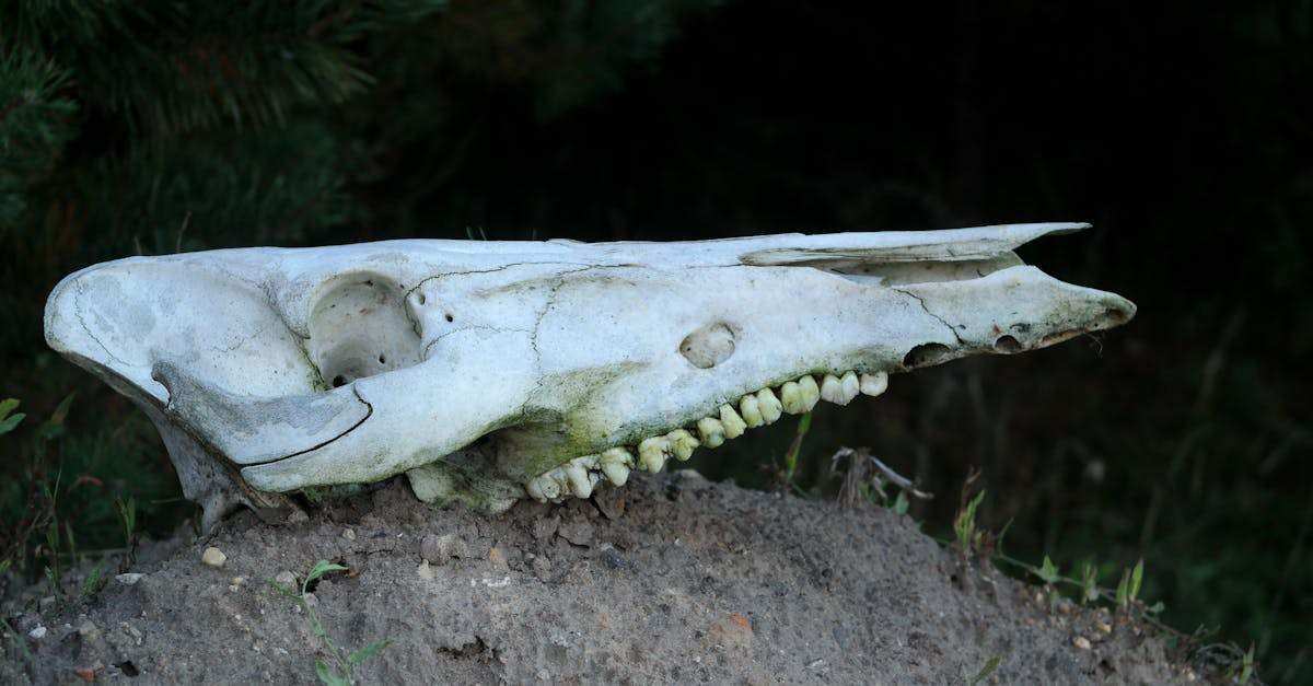 découvrez la gestion continue de l’exposition aux menaces : une approche proactive pour identifier, analyser et réduire en permanence les risques cyber qui pèsent sur votre entreprise.