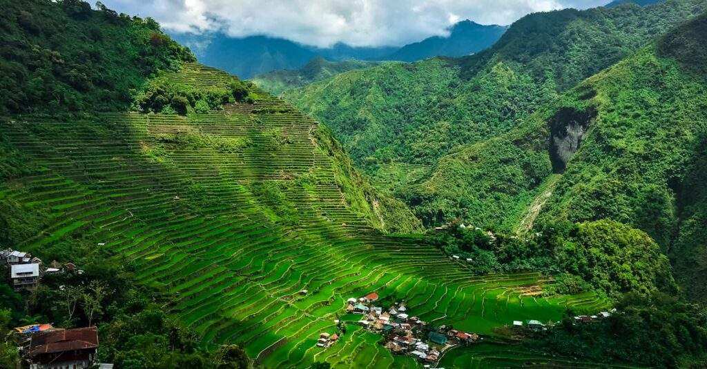 découvrez tout sur l'irrigation : techniques, avantages, conseils et solutions pour optimiser l'arrosage de vos cultures, jardins ou espaces verts et améliorer vos rendements agricoles.
