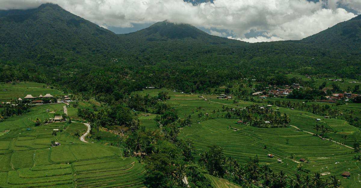 découvrez tout sur l'irrigation : techniques, conseils pratiques et innovations pour optimiser l'arrosage de vos cultures, jardins ou espaces verts. adoptez les meilleures solutions pour une gestion efficace de l'eau.